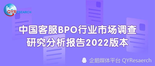 2022年中國客服BPO行業市場調查研究分析報告（簡版）